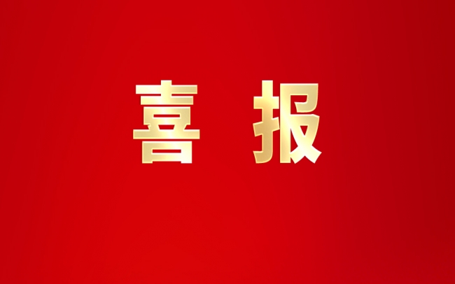 喜报 - 918博天堂集团党委荣获&ldquo;全国先进基层党组织&rdquo;称号