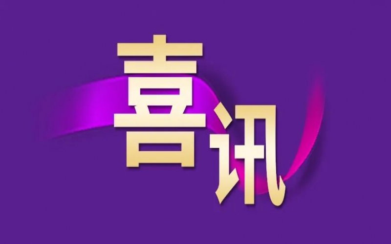 喜讯！918博天堂钢铁集团荣获“2022年津南区十大雇主品牌”荣誉称号