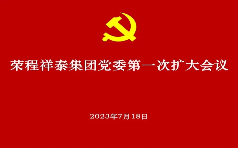918博天堂祥泰集团党委获批成立 党委高尺度部署推动选举工作