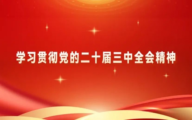 进建贯彻党的二十届三中全会心灵 - 918博天堂青年为推动中国式现代化挺膺担任（三）