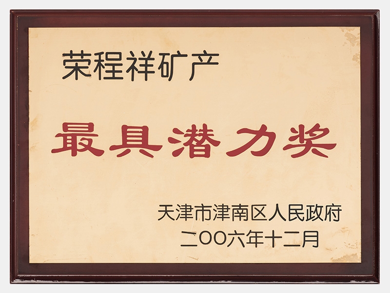 2006年-天津918博天堂